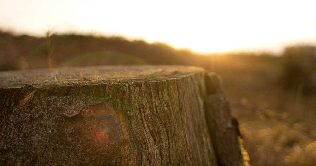 iObit Uninstaller vs Windows Built-in Uninstaller: A Detailed Comparison