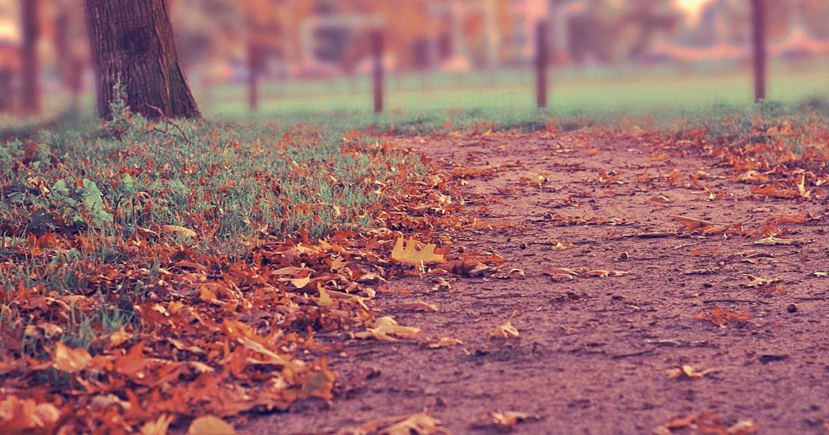 iObit Uninstaller Pro Features: A Comprehensive Review