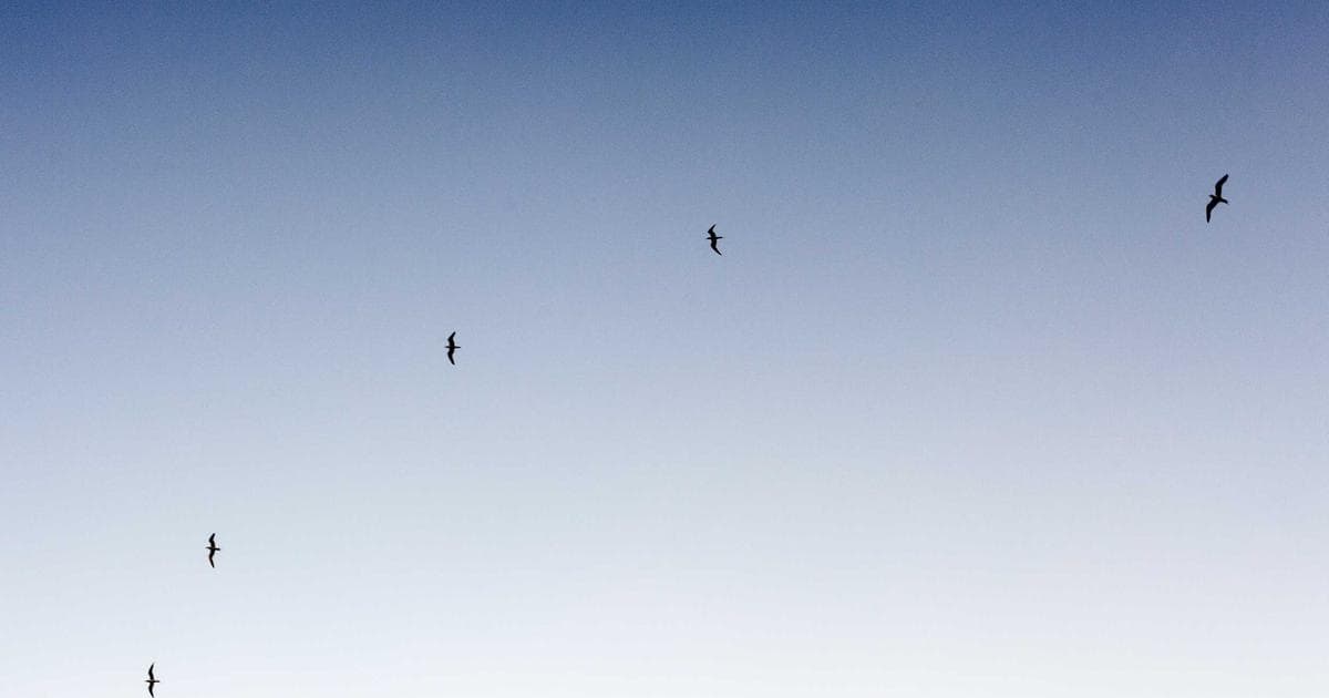 How to Remove Stubborn Software That Won't Uninstall